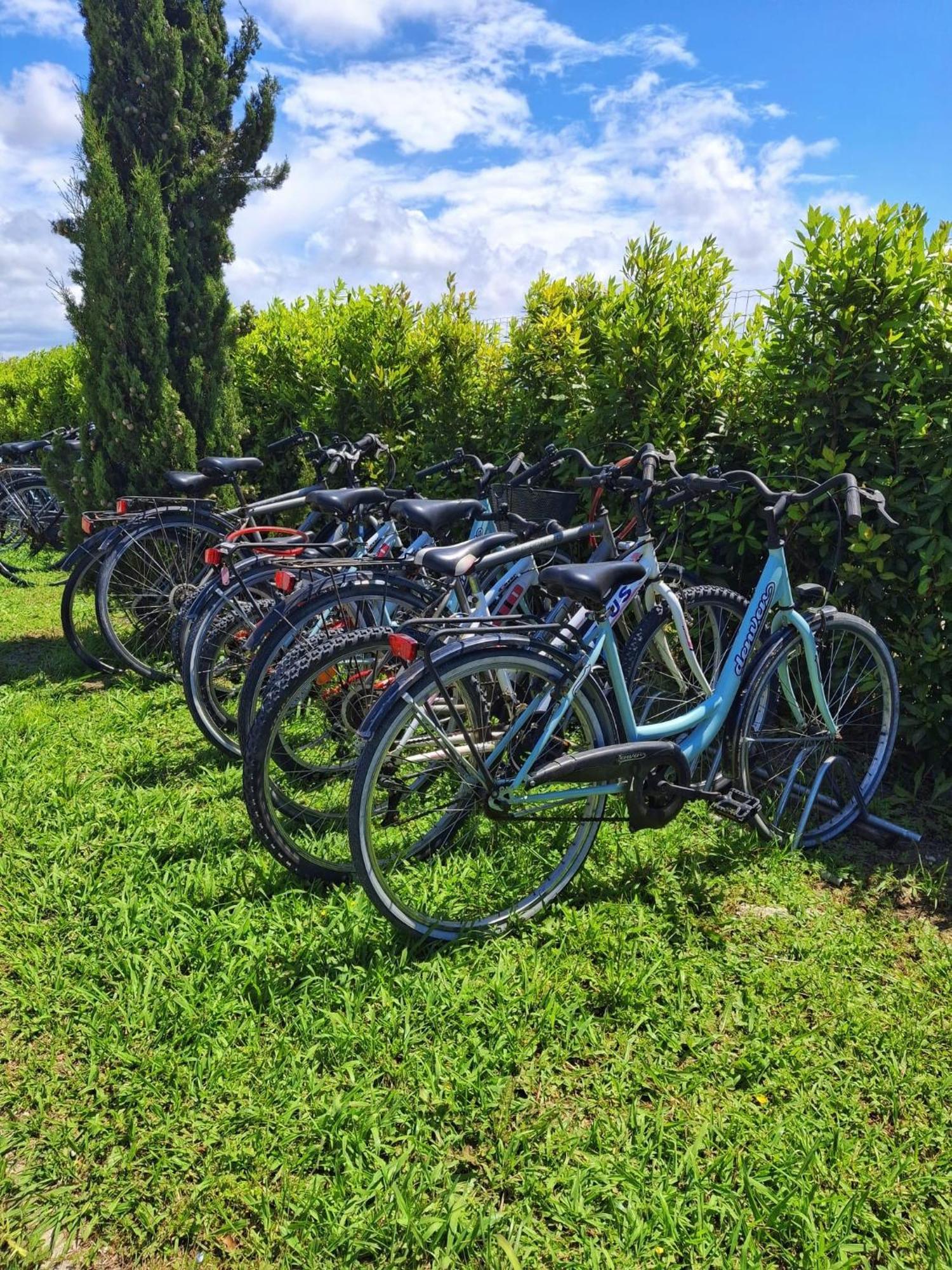 Delfino Tuscany Resort Marina di Cecina Buitenkant foto